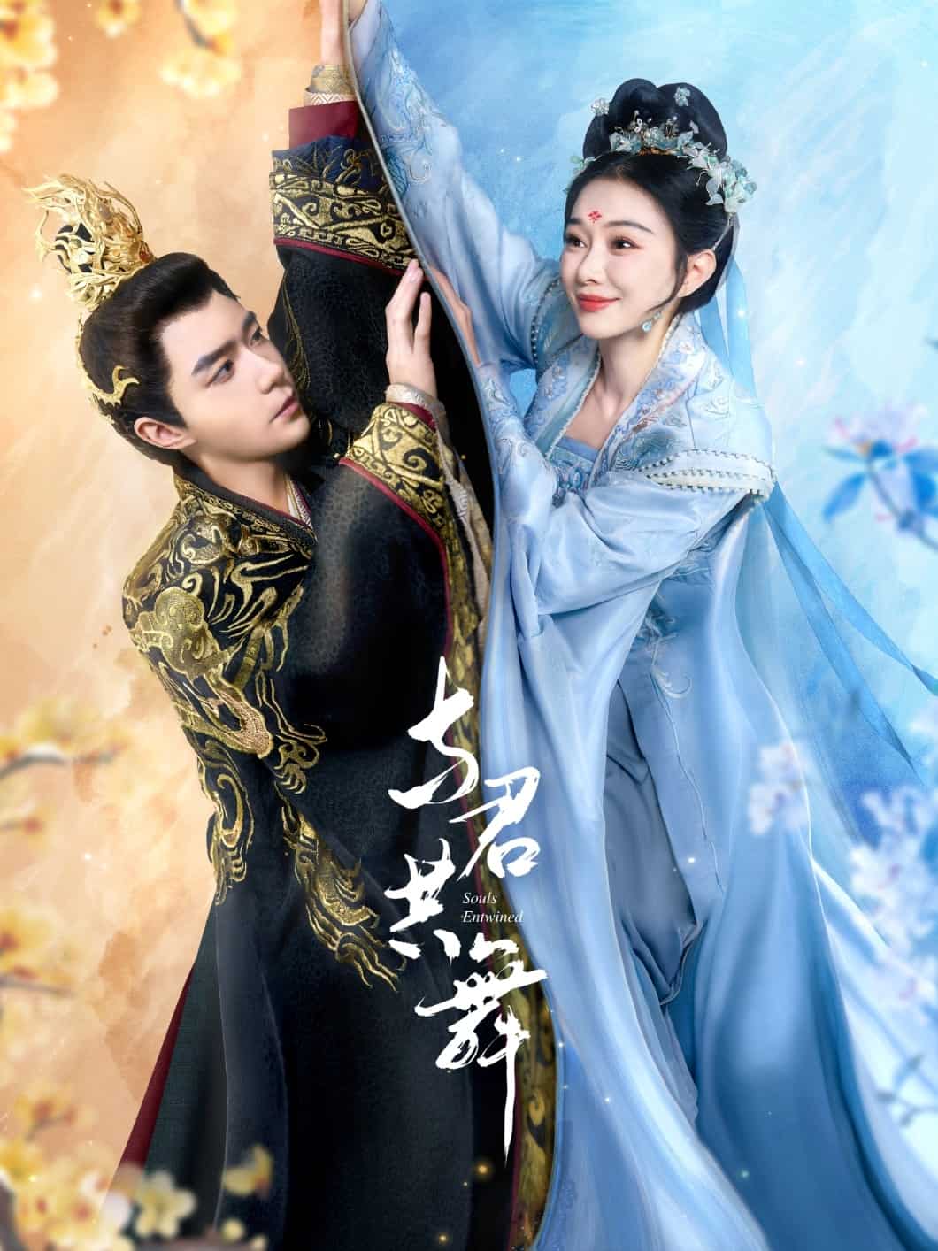 与君共舞(全集)