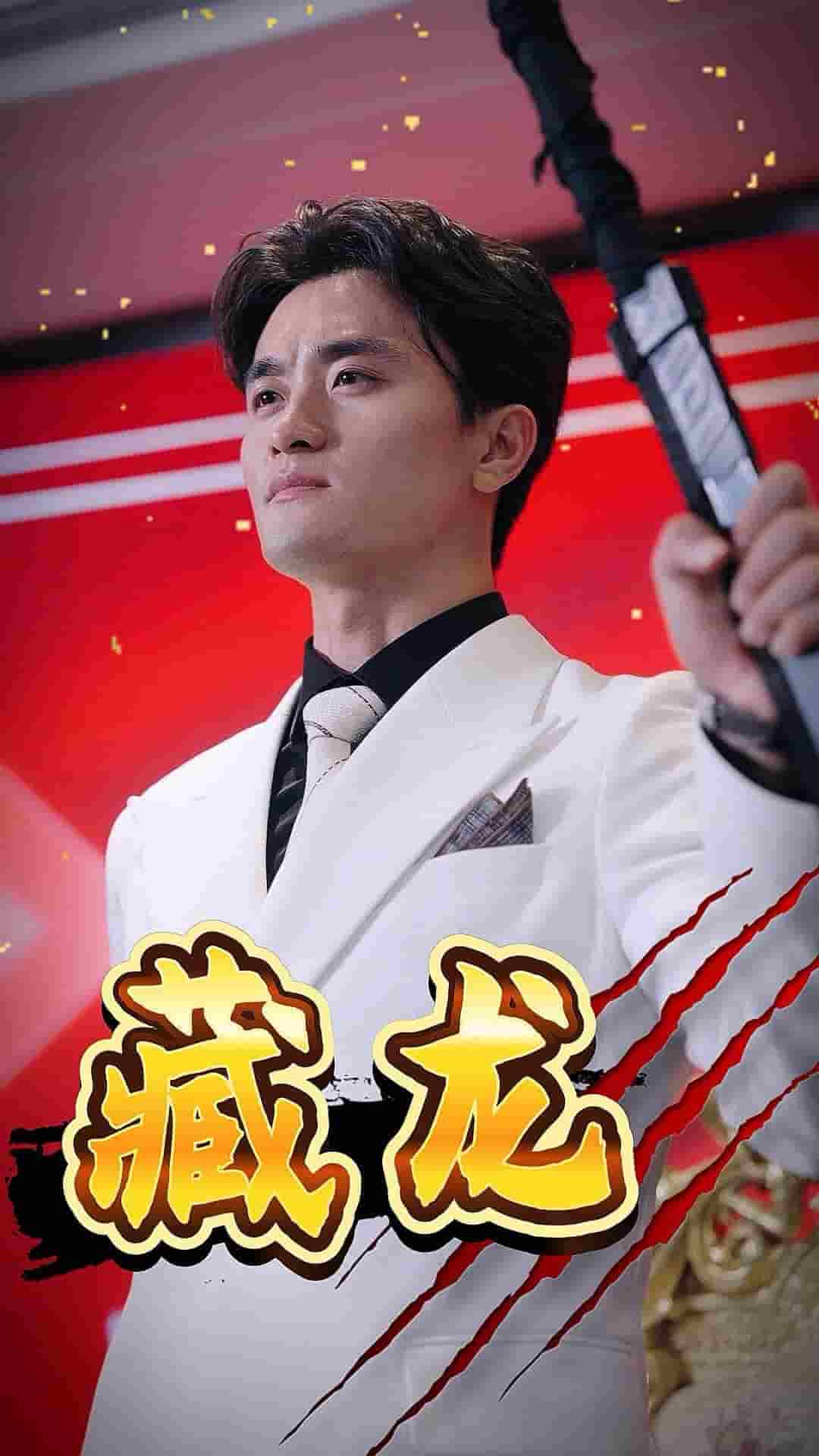 藏龙 短剧版(全集)