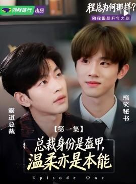 程总为何那样(全集)
